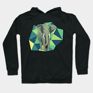 Elephant with geometric background Hoodie